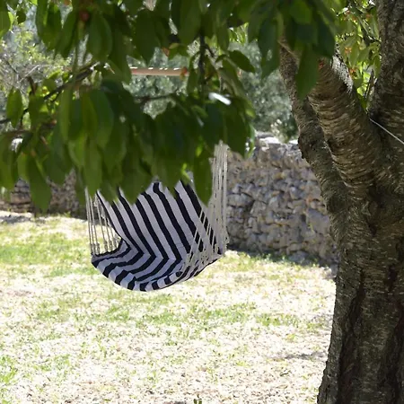 Borghetto Pedale Nocleg ze śniadaniem Ruvo di Puglia